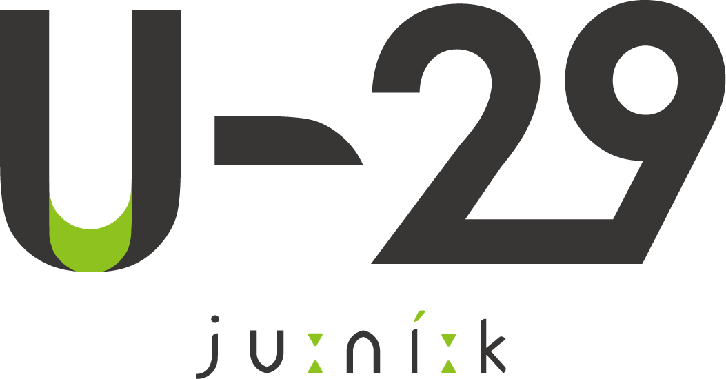U-29